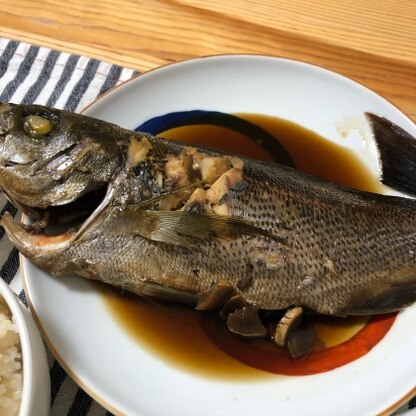 煮魚食べたい欲求を見事に満たしてくれました！
味がしっかりしみて、ご飯が進む進む。
また作りたいと思います！